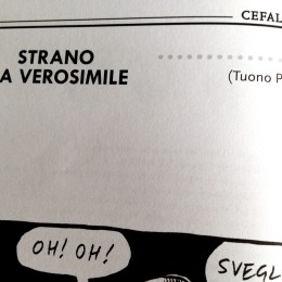 TUono P