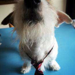 10884659_10152637430292523_1201732826_n