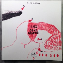 cover 5
